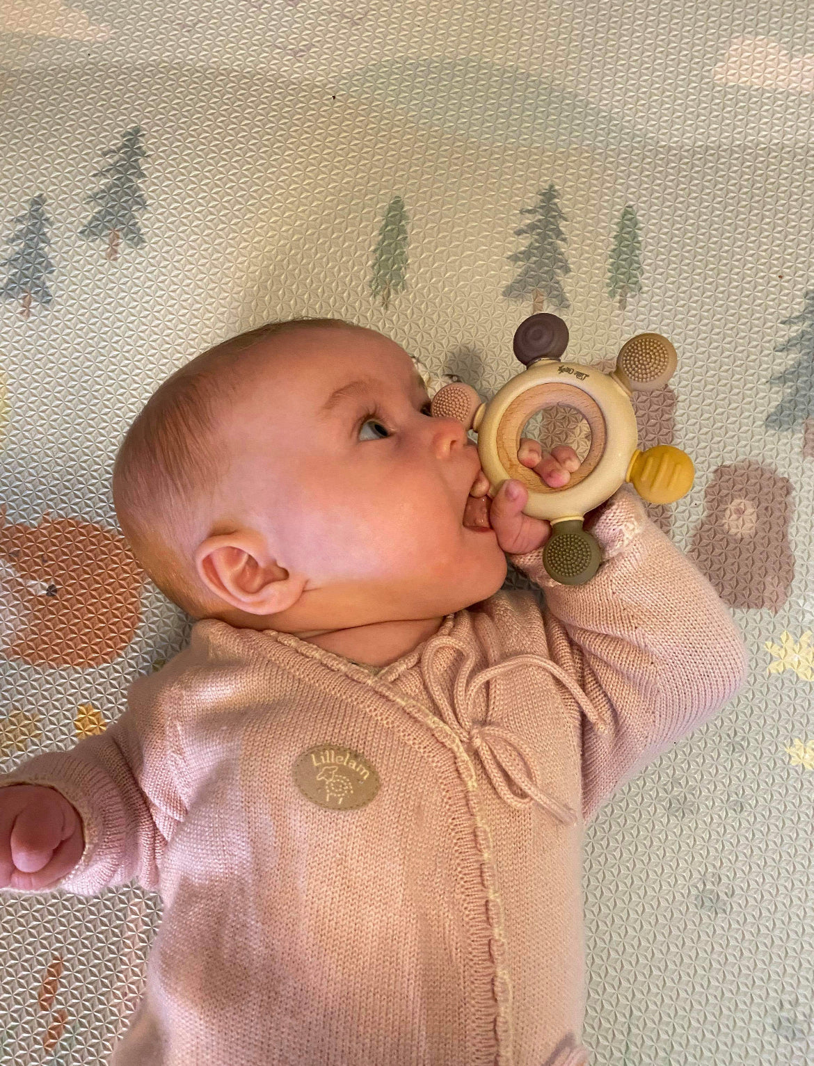 Biteleke, gripeleke, pedagogiske leker, stimulerende leker, lindrer såre gommer, Nord Bitestjerne, Little Climby, nordisk design, nyhet leker, stimulere finmotorikk, stimulere sanser, fargelære barn, gave baby, barsel, aktivitetsleke, leke silikon, treleker, sårt tannkjøtt, kløe i tenner, kvalitetsleker, bærekraftige leker, trendy leker, nye leker, trygge leker, leker til babygym, leke bilstol , leke vippestol, leke vogn